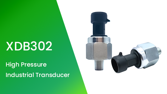 XDB302 Hoëdruk Industriële Transducer