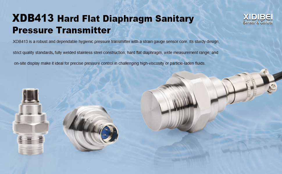 Hard Flat Diaphragm Sanitary Pressure Transmitter (1)