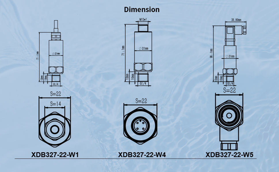 Heavy-duty pressure sensor (4)