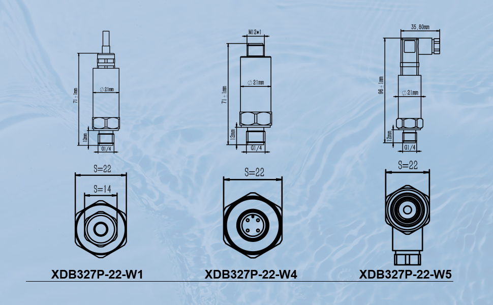 Heavy-duty pressure sensor (6)