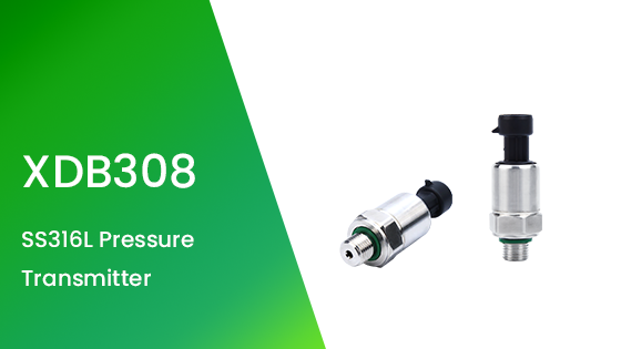 XDB308-G1-W2 SS316L Pressure Transmitter