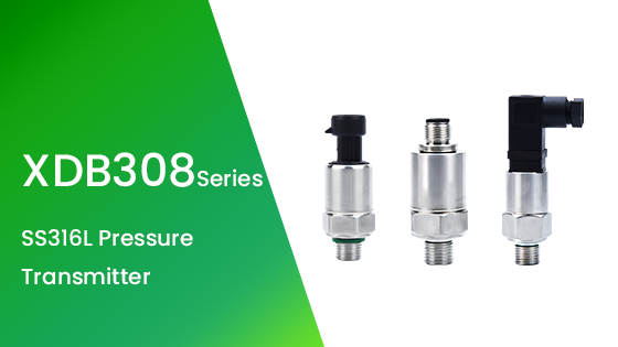 XDB308 SS316L Pressure Transmitter