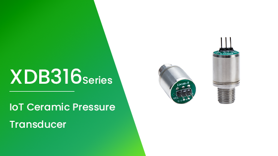 XDB316 IoT Ceramic Pressure Transducer