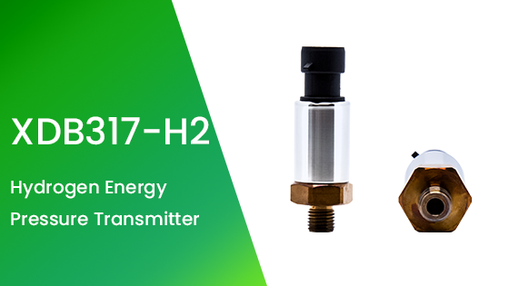 XDB317-H2 Hydrogen Energy Pressure Transmitter