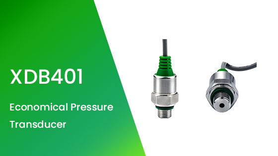 XDB401 Economical Pressure Transducer