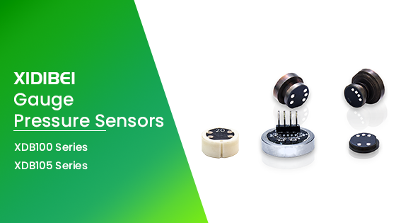 XIDIBEI Gauge Pressure Sensors