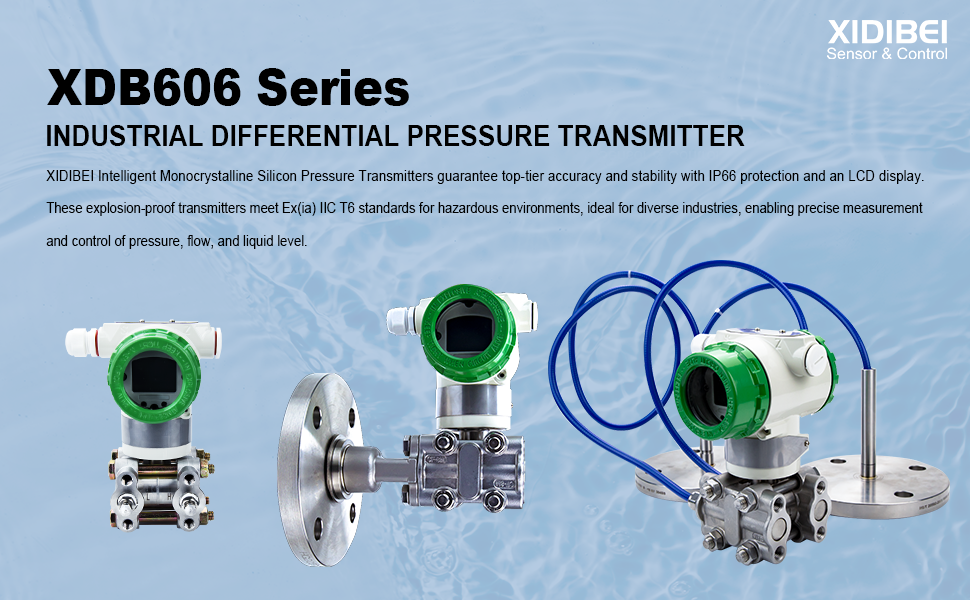 XDB606 Series Industrial Differential Pressure Transmitter