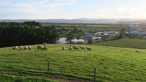 farming