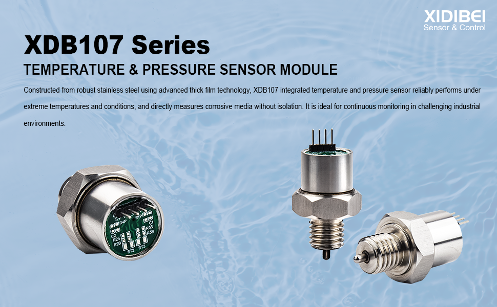 temperature pressure integrated sensor (1)